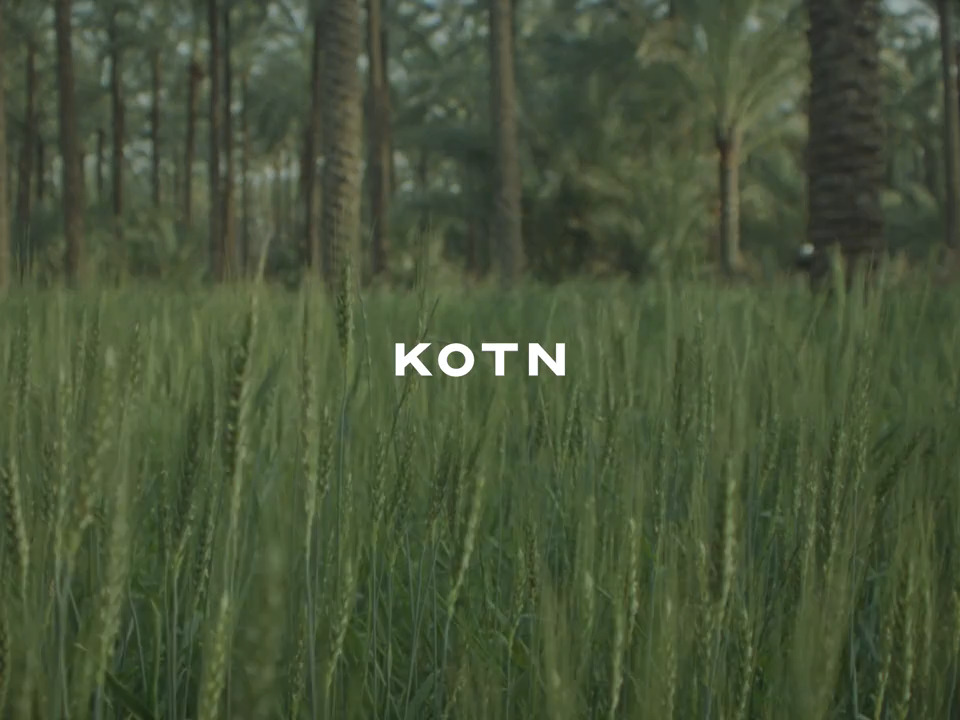 Logo Kotn. L'arrière plan est un champ entouré d'arbre